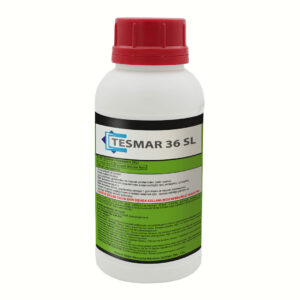 Tesmar 36 SL